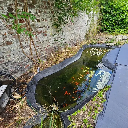 Maison 3 Chambres, Garage Et Jardin *