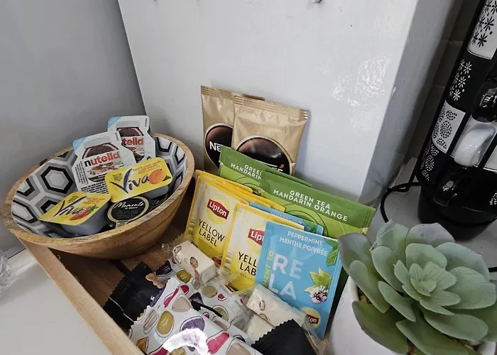 Maison 3 Chambres, Garage Et Jardin