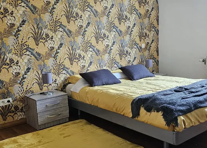 Maison 3 Chambres, Garage Et Jardin