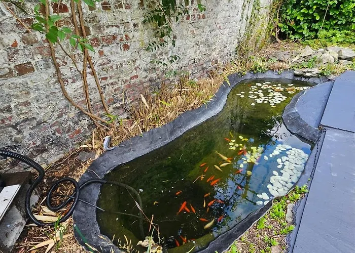Maison 3 Chambres, Garage Et Jardin *